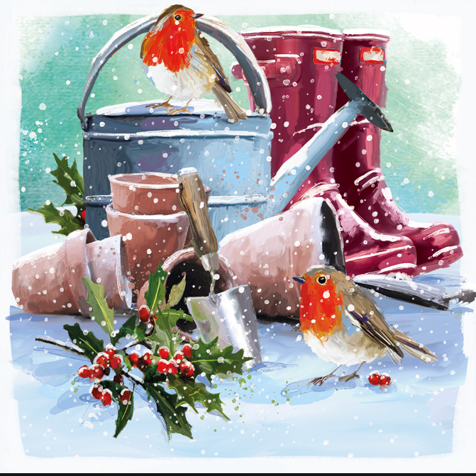 2. Robins in the Garden Christmas Card
