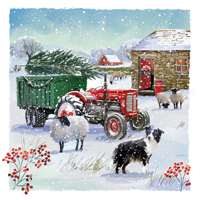 17. Twin pack : Farmyard Friends / Snow on the Farm