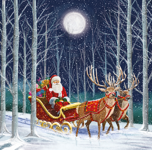 1. Woodland Sleigh Ride Christmas Card