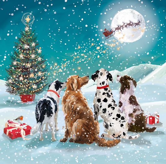 7. Watching Santa